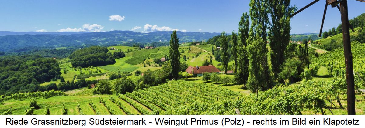 Riede Grassnitzberg Südsteiermark - Weingut Primus (Polz) 