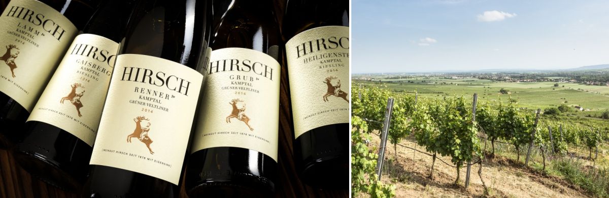 Hirsch Johannes: Weinflaschen - Weingarten