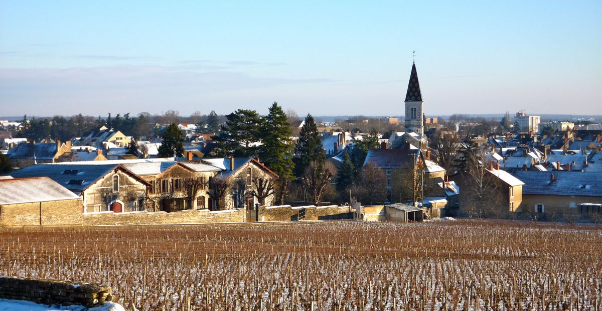 Nuits-Saint-Georges - Gemeinde mit Rebflächen im Winter