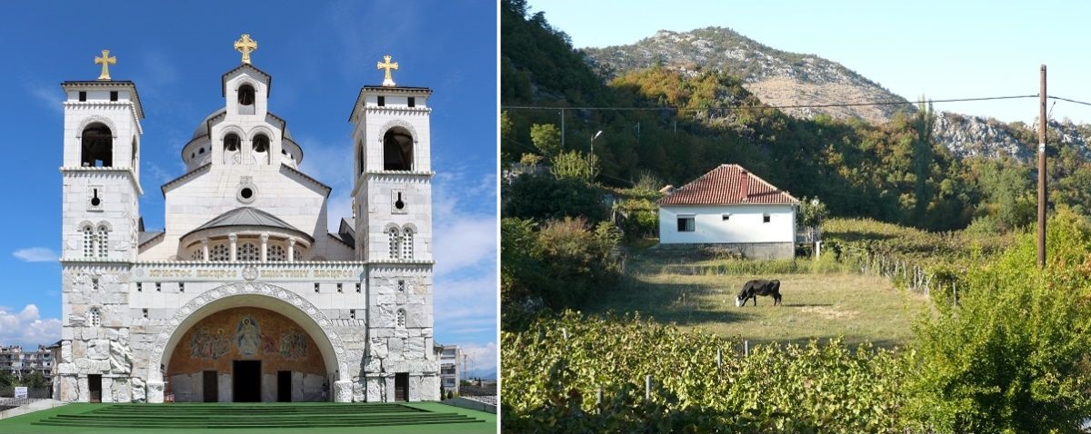 Monténégro - Cathédrale à Podgorica et Vignoble près du lac Skutari