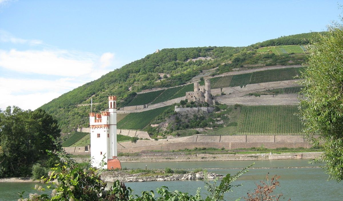 Rheingau -Mäuseturm und Burg Ehrenfels