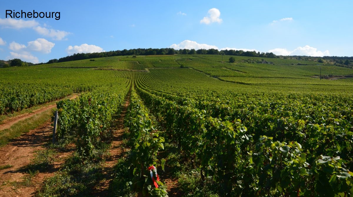 Richebourg - Weinberge