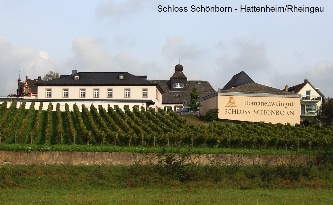 Schloss Schönborn - Hattenheim Rheingau
