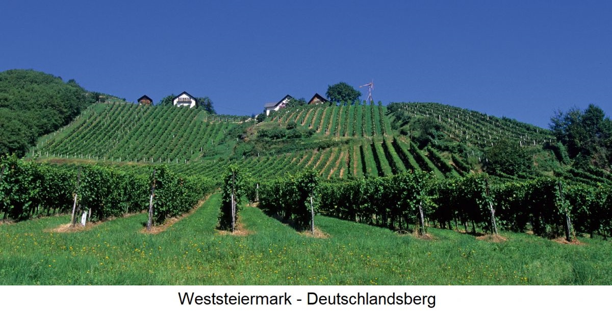 Weststeiermark - Deutschlandsberg Rebflächen