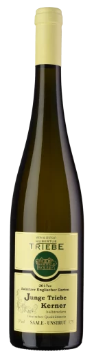 Bottle Image