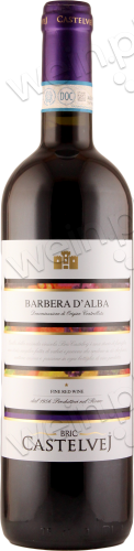 2019 Barbera d'Alba DOC