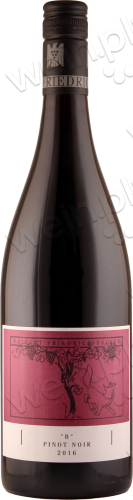 2016 Pinot Noir trocken