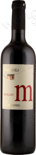 2020 Colli Bolognesi DOC Merlot "m"